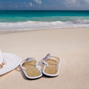 Best of the Coral Coast - Half Day Tour