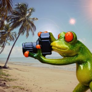 Photographer At Your Disposal - The Tourist Package