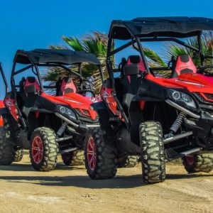 Terra Trek - 4hr off road dune buggy, picnic and waterfall tour