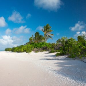 Endless Summer - Yanuca Island Day Trip